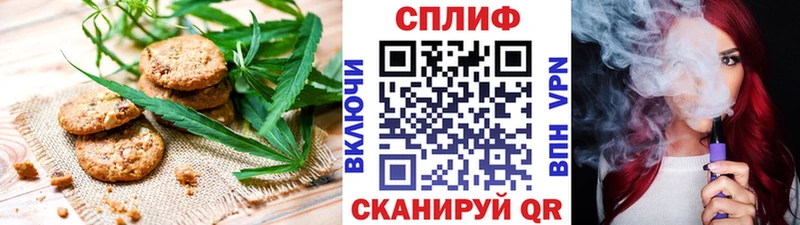 мориарти клад  наркотики  Новороссийск  Cannafood конопля 