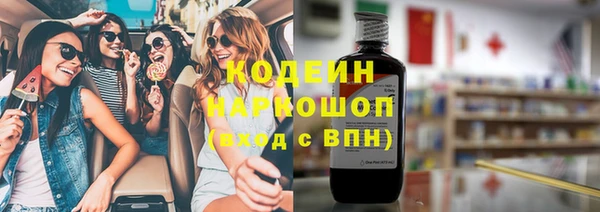 гашик Тавда