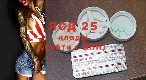 гашик Тавда