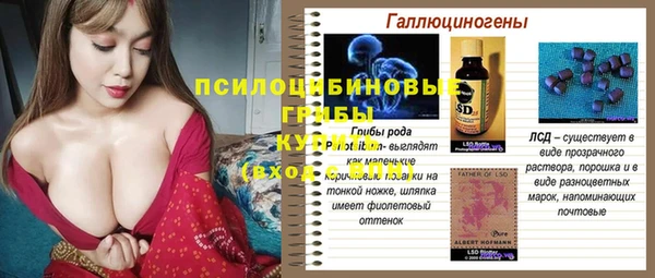 гашик Тавда