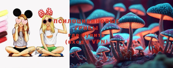 гидра Верхнеуральск